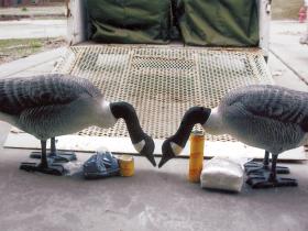 2geesedecoys